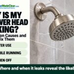 Why Is My Shower Head Leaking? 7 Common Causes and How to Fix Them Why Is My Shower Head Leaking? 7 Common Causes and How to Fix Them